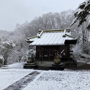 雪の朝。金刀比羅神社にて