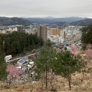 西分神社から青梅駅を望む